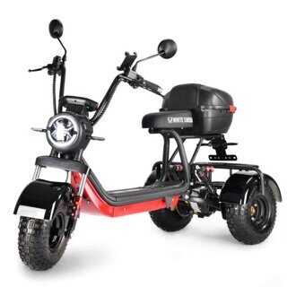 Трёхколесный электроскутер White Siberia Trike Mini Black